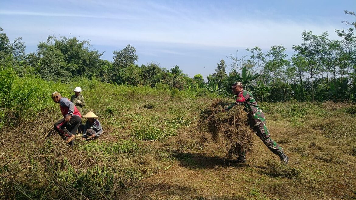 Jelang TMMD Sengkuyung 2025, Babinsa dan Warga Bungu Gelar Kerja Bakti Bersihkan Lapangan