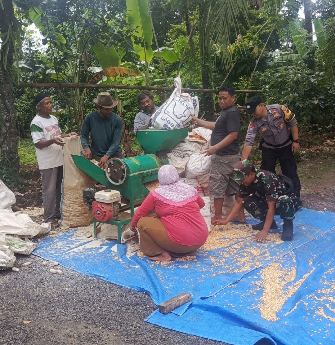 Babinsa Desa Gelang Laksanakan Pemantauan Wilayah dan Bantu Warga Giling Jagung di Dukuh Soko