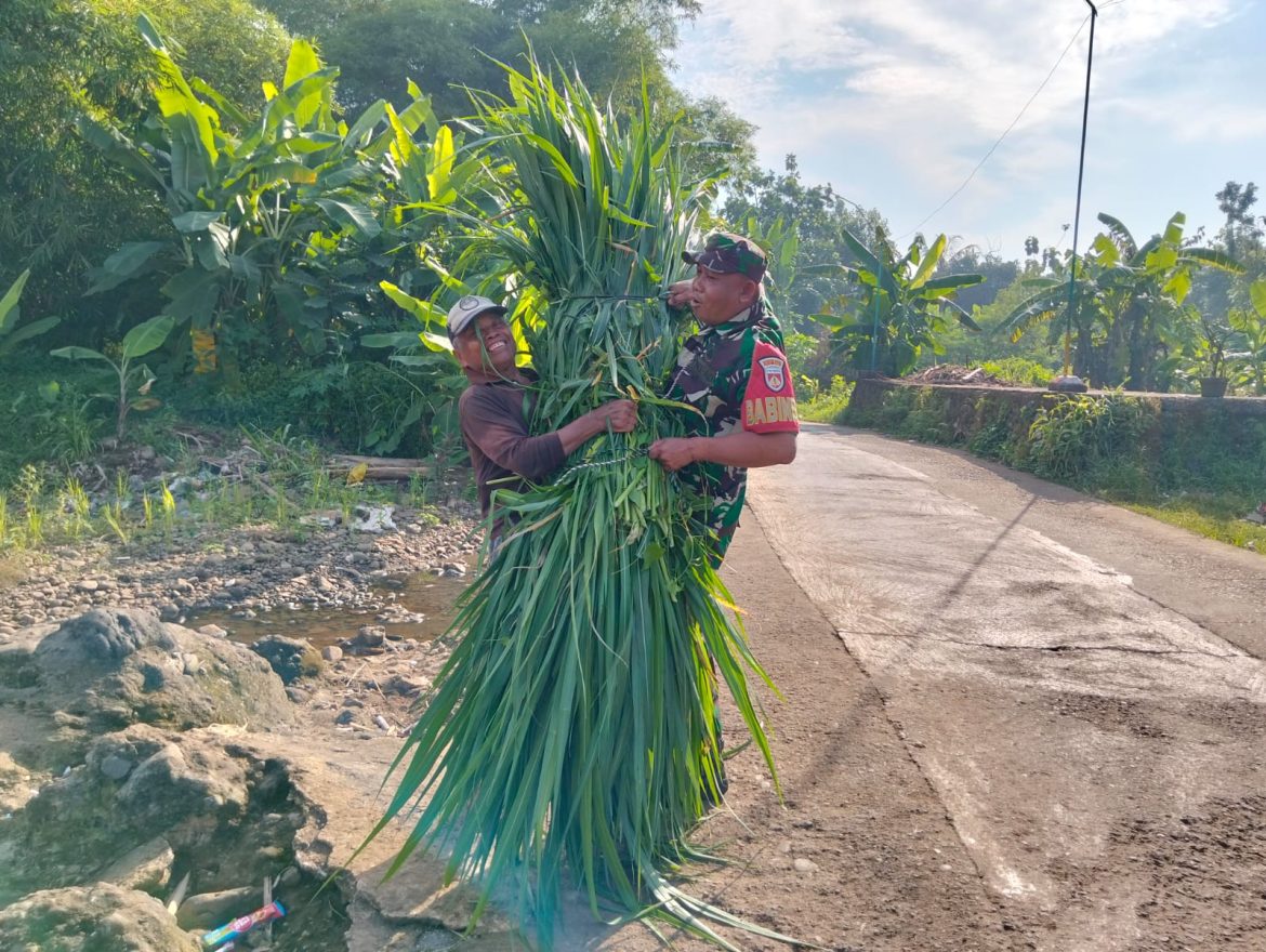 Babinsa Tengguli Bantu Warga Angkat Rumput Saat Pantau Wilayah dan Komsos di Bangsri Jepara