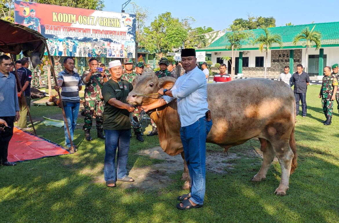 Kodim 0817/Gresik Laksanakan Penyembelihan Hewan Kurban, Dandim Berikan Sapi Terbaik