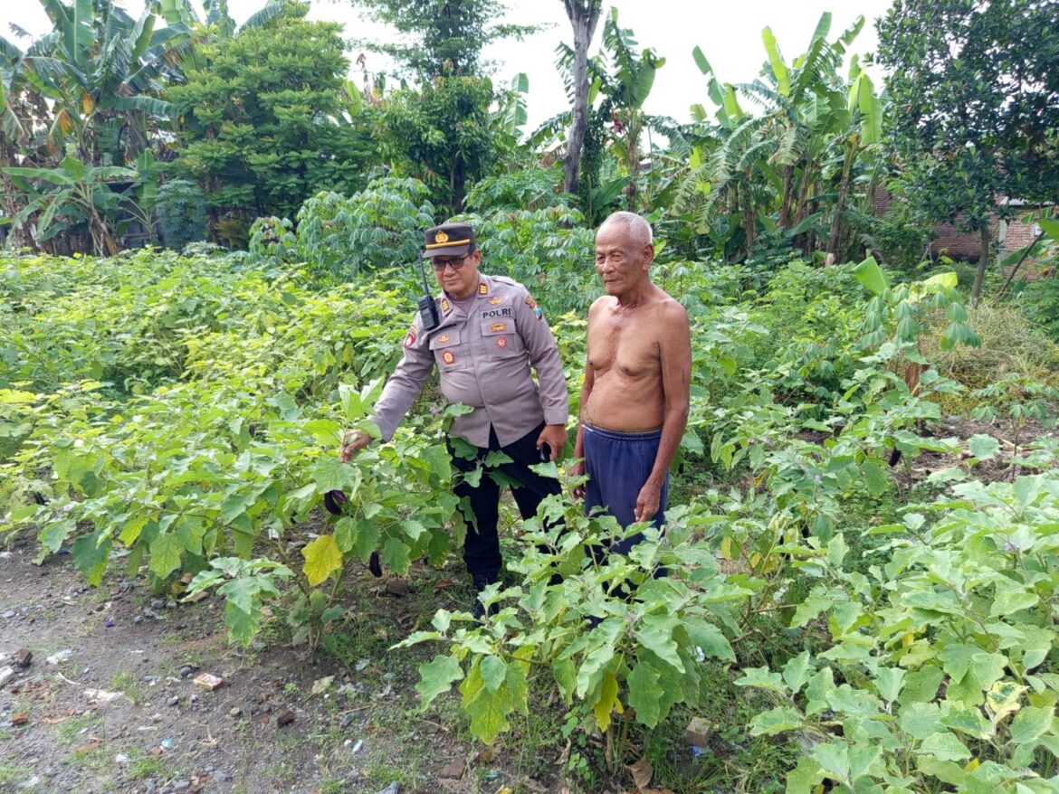 Wujudkan Kemandirian Pangan, Polsek Patianrowo Dampingi Warga Kelola Pekarangan
