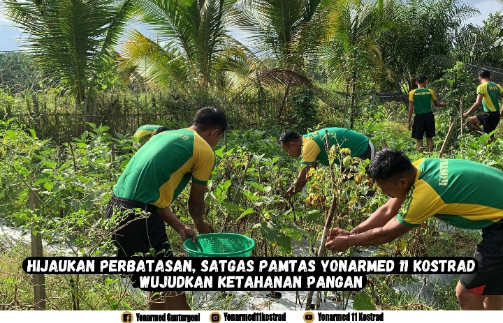 Hijaukan Perbatasan, Satgas Pamtas Yonarmed 11 Kostrad Wujudkan Ketahanan Pangan