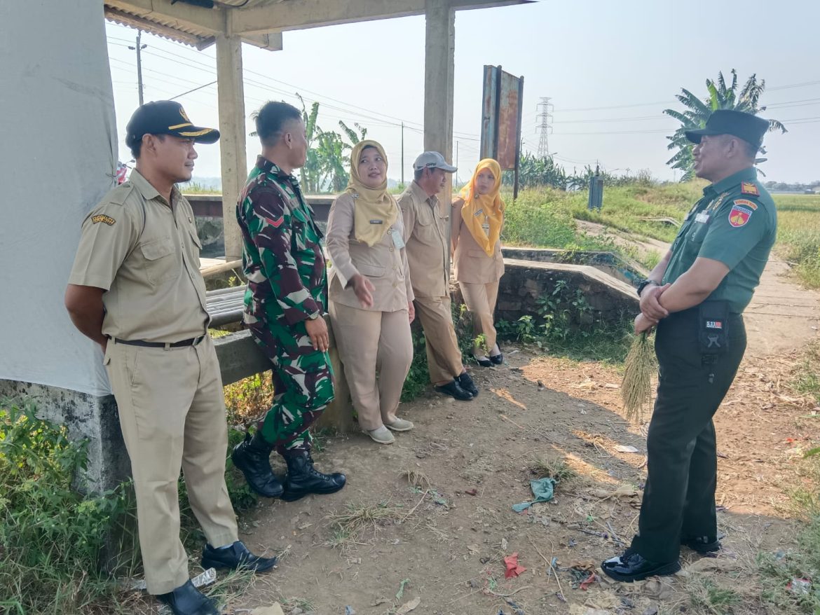 Danramil 04/Pecangaan dan Babinsa Tinjau Lokasi Persiapan Panen Raya di Desa Manyargading