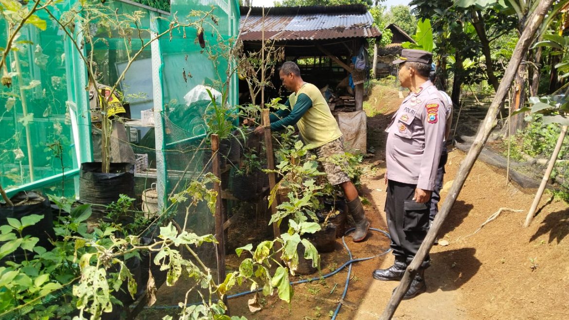 Polsek Sawahan Dukung Ketahanan Pangan Lewat Pemanfaatan Lahan Perkarangan