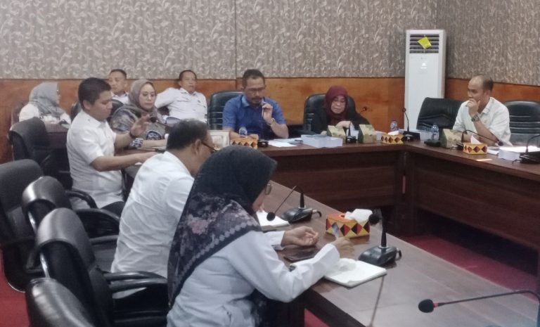 Pansus RPJMD DPRD Lamsel Pesimis Target 100% Jalan Mantab Terwujud