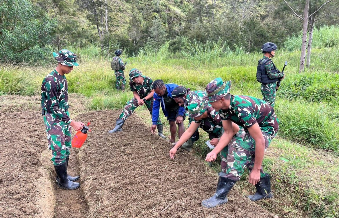 Sinergi TNI dan Warga Wujudkan Kemandirian Pangan di Distrik Malagai