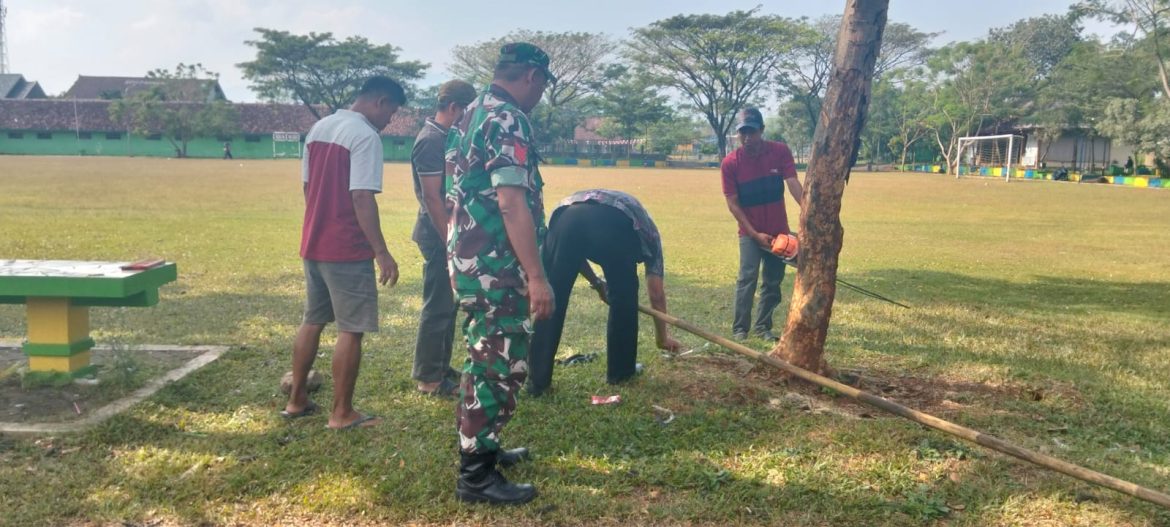 Babinsa Tengguli Bersama Warga Bersihkan Pohon Rawan di Lapangan Bangsri untuk Cegah Bahaya