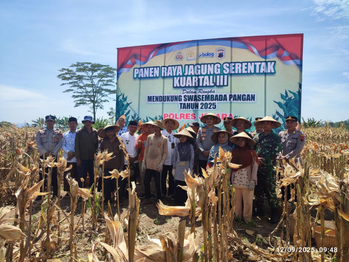 Koramil 08/Keling Hadiri Panen Raya Jagung Serentak Kuartal III Bersama Polres Jepara di Desa Watuaji