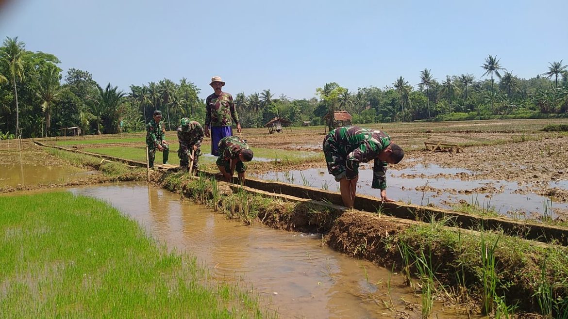 Anggota Koramil 09/Mlonggo Bersama Poktan Tani Makmur Bersihkan Irigasi dan Siapkan Lahan di Desa Slagi