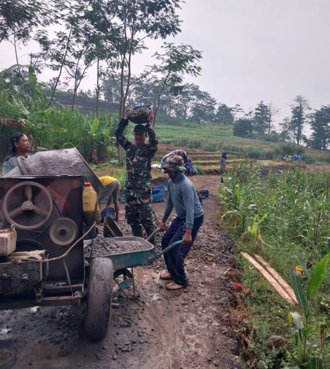 Menapak Asa di Jalan Usaha Tani: Sinergi Kodim 0719/Jepara dan Rakyat Bangun Desa Sumanding”