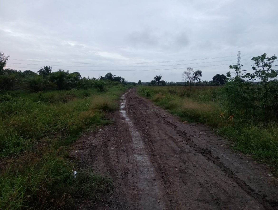 Warga Desa Mulya Sari Harapkan Penerangan Jalan Segera Dibangun