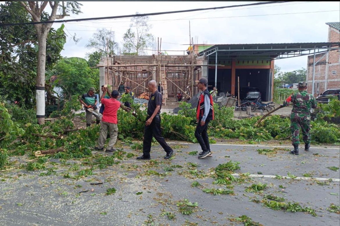 Cegah Bahaya, TNI-Polri Tebang Pohon Rawan Tumbang di Jalan Raya Durenan Trenggalek