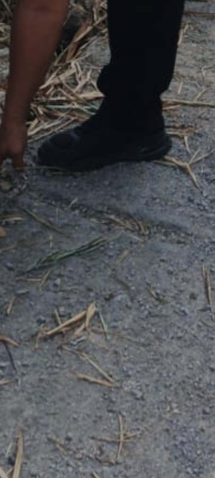 Warga Soroti Kualitas Jalan Rabat Beton di Garut