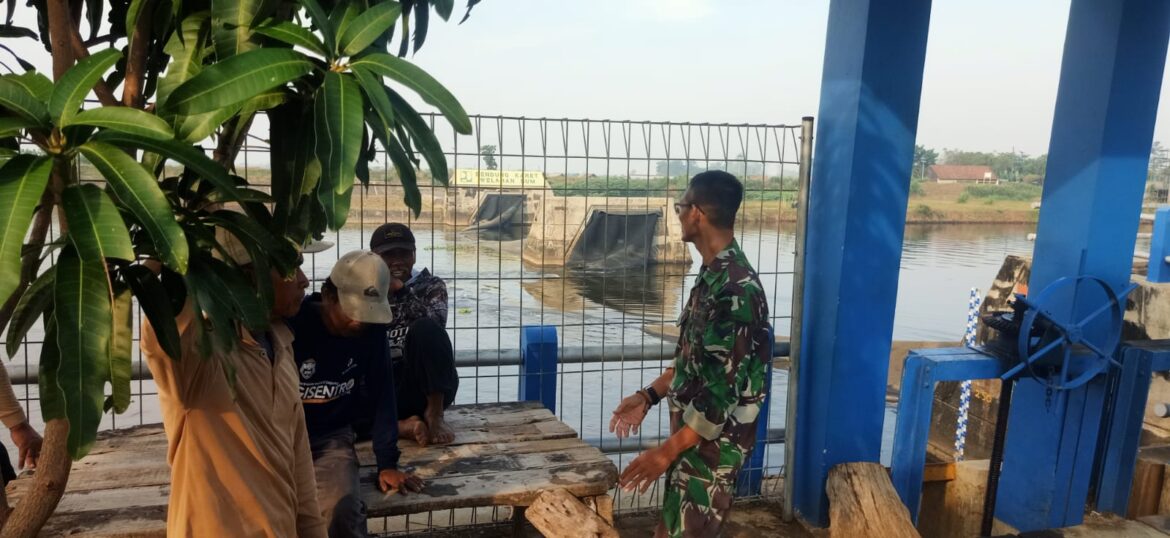 Babinsa Koramil 04/Pecangaan Bersama Poktan Tani Makmur Laksanakan Pemantauan Bendungan Rusak Akibat Pasang Laut di Desa Gerdu
