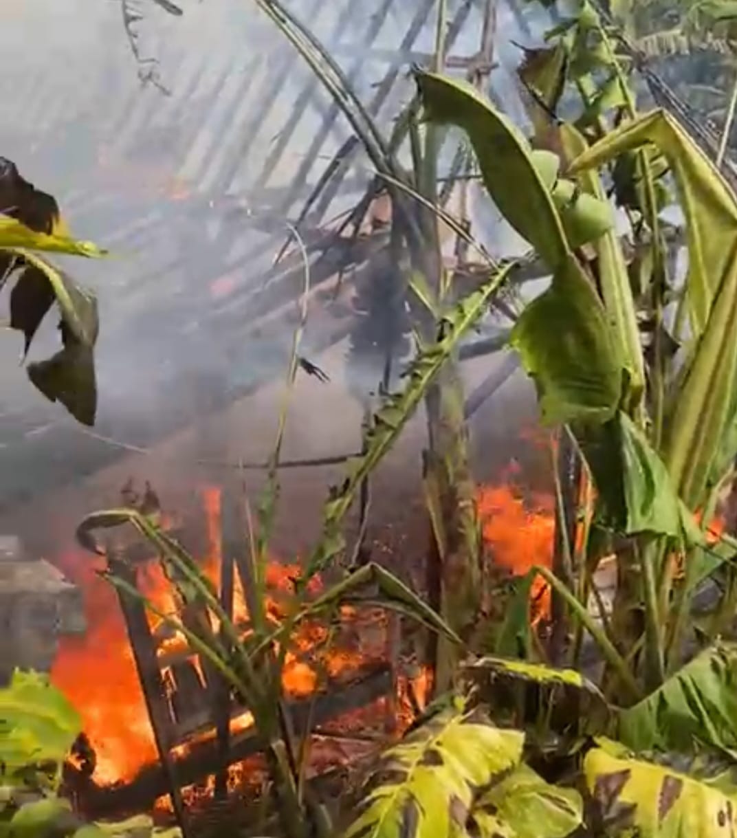 Ditinggal Pergi Ke Sawah Rumah dan Isinya Habis Dilalap Si Jago Merah