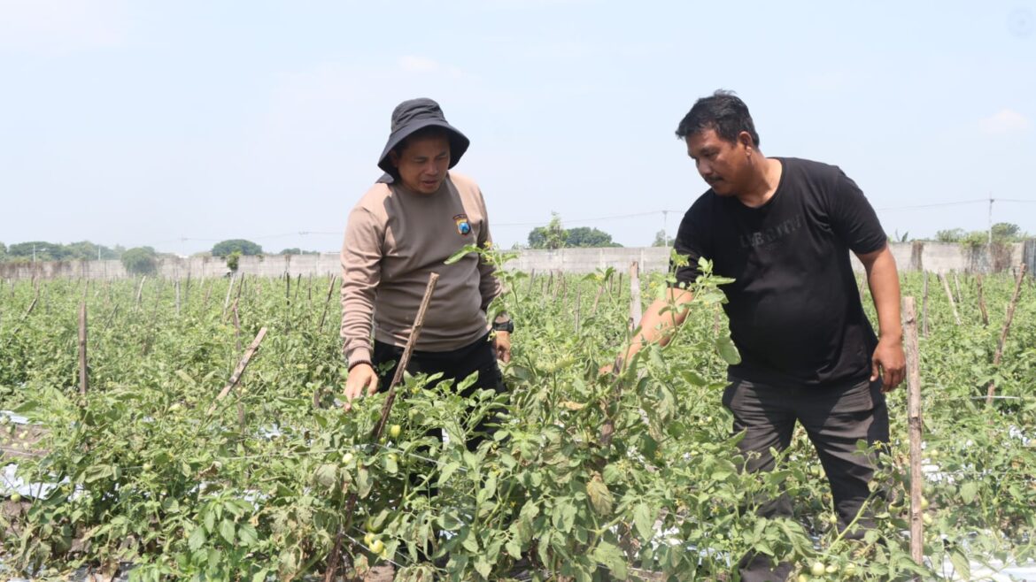 Polres Nganjuk Dorong Ketahanan Pangan Lewat Program “Desa Tangguh Pangan