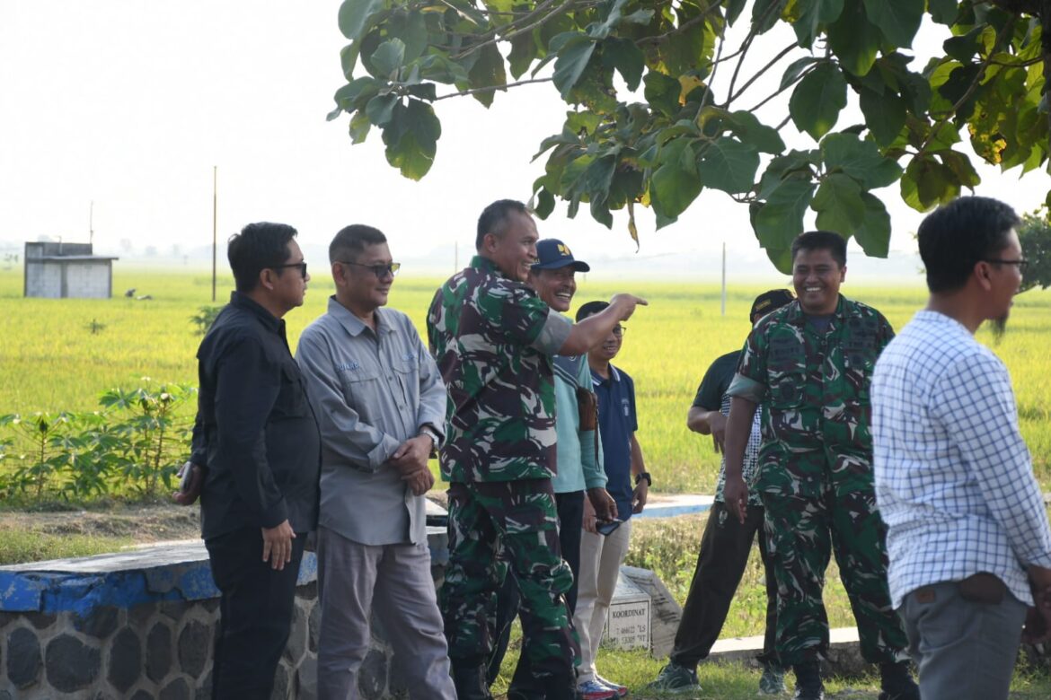 Danrem Untoro Tinjau Pertanian Padi di Ngawi