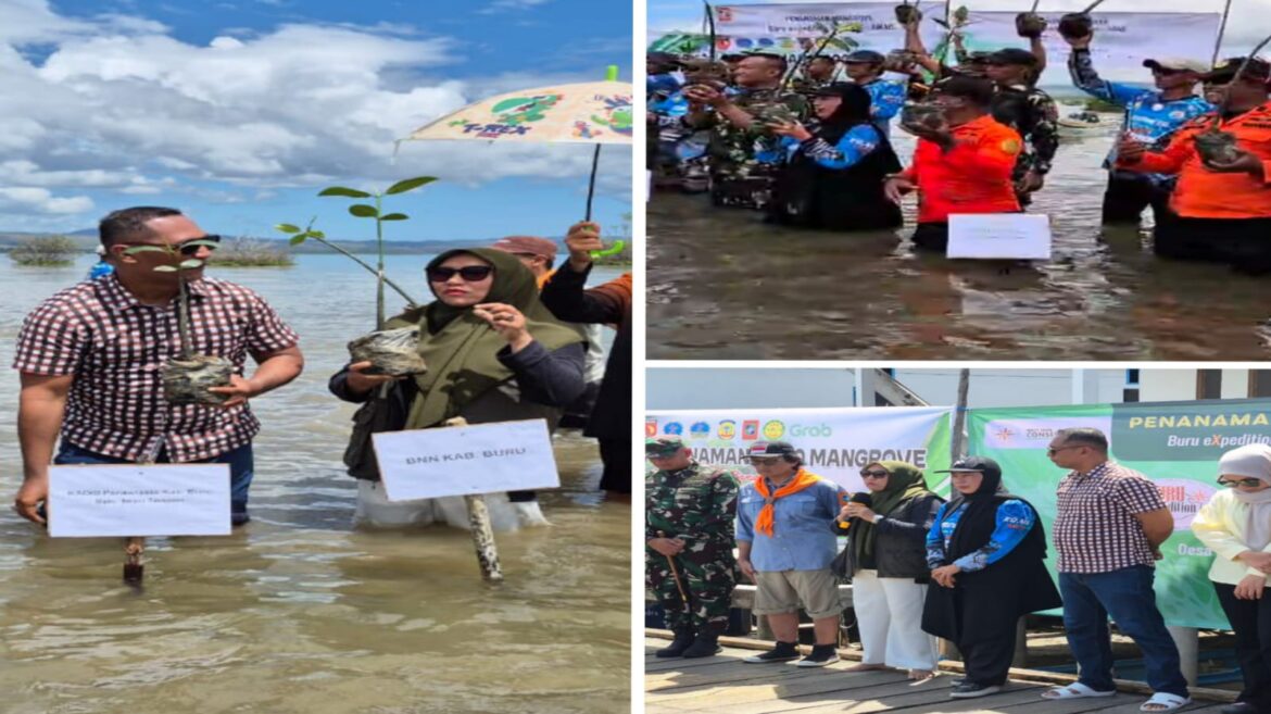 Wanadri Bersama Dinas Pariwisata Kab Buru dan Forkopimda Lakukan Penanaman 4000 Mangrove di Desa Kakiair