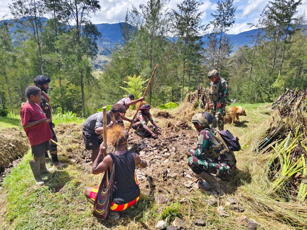 Satgas Yonif 700/WYC Bantu Warga Siapkan Acara Bakar Batu di Kampung Wuloni Wujud Kedekatan TNI dengan Masyarakat Papua