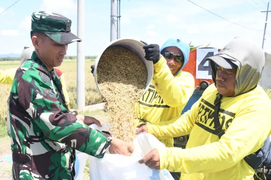 Sejauh Mana Peran Babinsa dalam Membantu Petani?