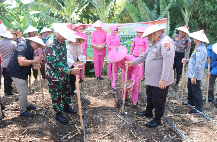 Dukung Swasembada Pangan, Polres Pasuruan Gelar Penanaman Jagung Serentak Kuartal IV di Desa Martopuro