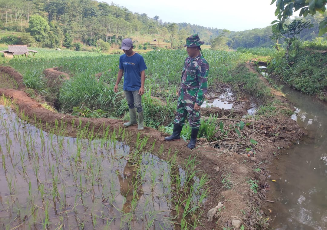 TNI PRIMA Hadir di Keling: Kodim 0719/Jepara Pastikan Wilayah Aman dan Kondusif
