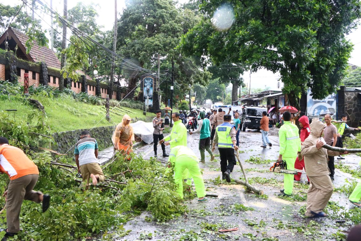 Respon Cepat Polres Salatiga Tangani Pohon Tumbang di Sejumlah Titik, Kapolres Salatiga Pimpin Langsung Evakuasi