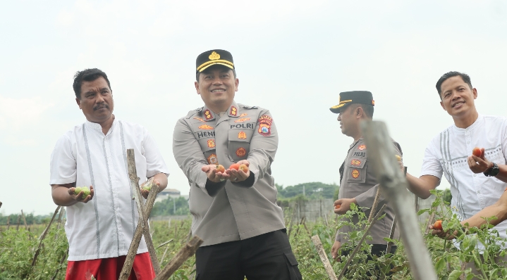 Kapolres Nganjuk Tinjau Panen Raya Tomat Dukung Program Ketahanan Pangan dan MBG